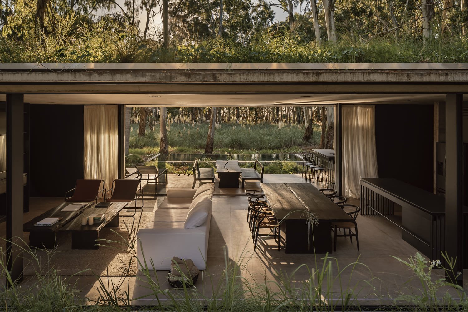 Casa Forest